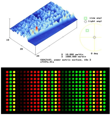  Detection of signal pathway phosphorylation level by Chip